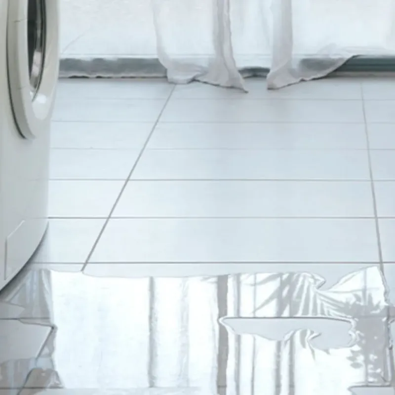 Appliance Leak Cleanup in Harrison, TN