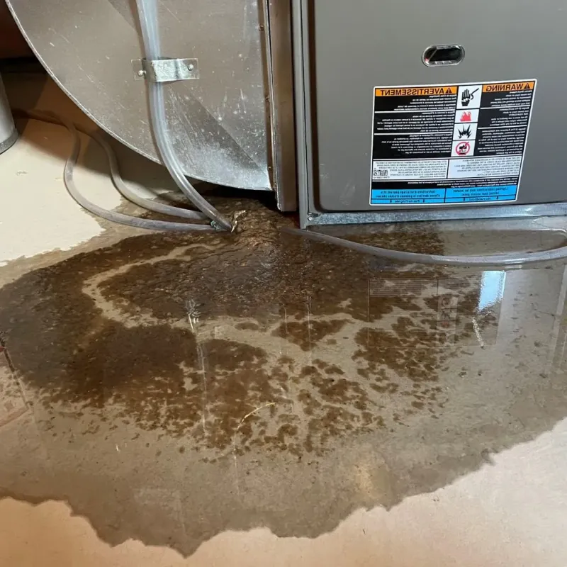 Pipe Burst and Leak Restoration in Harrison, TN