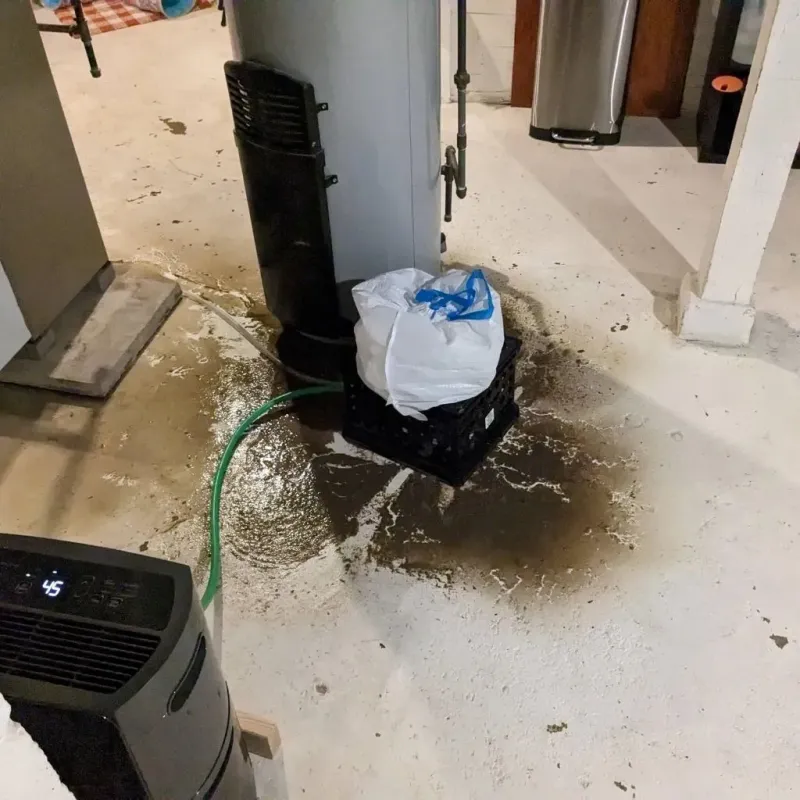 Sewage Backup Cleanup Service in Harrison, TN